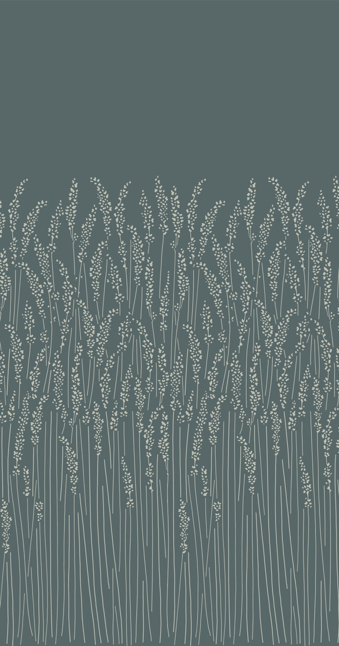 Feather Grass