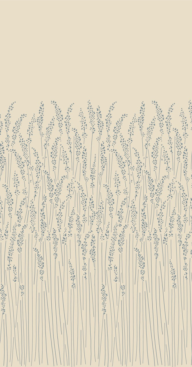Feather Grass