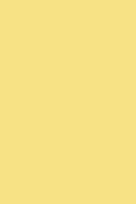 Dayroom Yellow 233